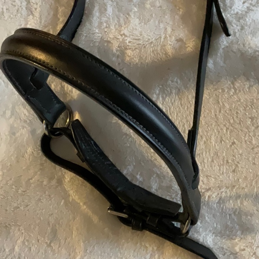 Horse Bridle Crank Noseband Caveson
